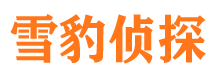 雁塔捉小三公司